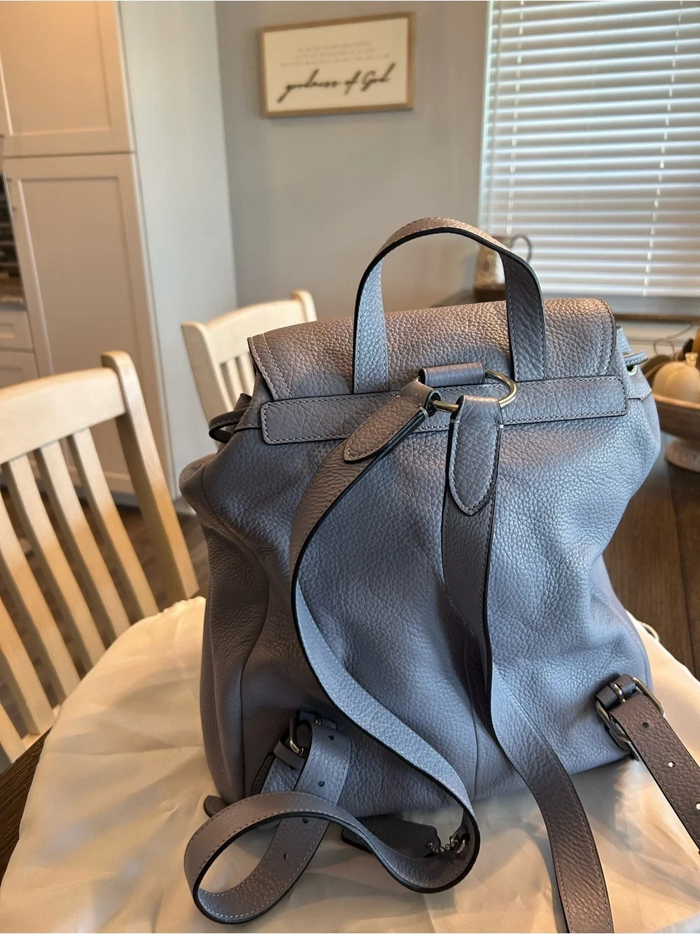 Coach Pebbled Leather Backpack in Light Blue